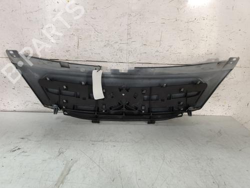 Grille CITROËN C3 I (FC_, FN_) 1.4 HDi | BP29869115C40