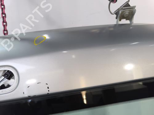 Tailgate RENAULT KANGOO (KC0/1_) 1.6 16V | BP29515777C6 