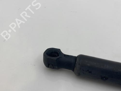 hood-lift-support-dacia-lodgy-js_-2012-32078349 main image