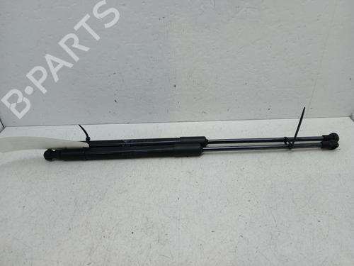 tailgate-lift-support-citroen-c3-iii-sx-2016-32499607 main image
