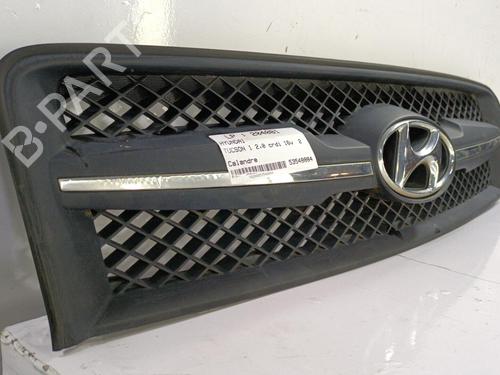 Grille HYUNDAI TUCSON (JM) 2.0 CRDi All-wheel Drive | BP22817599C40 