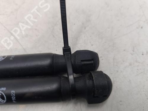 Gassdemper Bakluke CITROËN C3 I (FC_, FN_) 1.4 HDi | BP29193934C138 