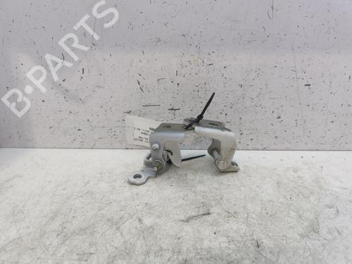 Used Hinge/Door check strap RENAULT SCÉNIC IV (J9_) 1.6 dCi 160 (160 hp) 28731322