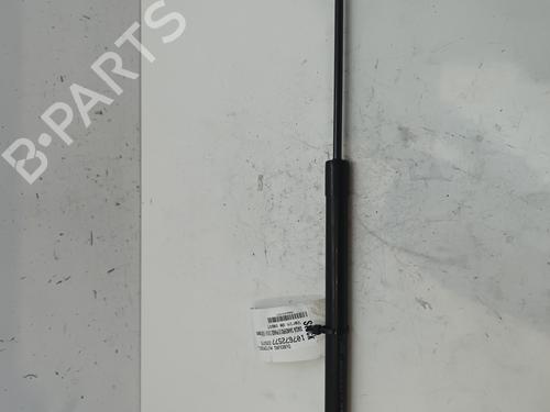 Hood lift support DACIA SANDERO II TCe 90 (B8M1, B8MA, B8AC) | BP26911386C139 