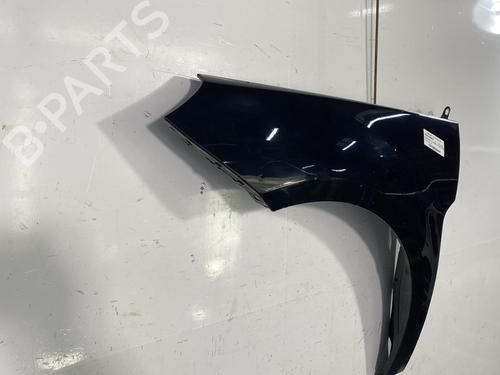 Used Left front fenders MERCEDES-BENZ B-CLASS Sports Tourer (W245) B 180 CDI (245.207) (109 hp) 22830165
