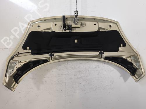 Hood RENAULT GRAND SCÉNIC III (JZ0/1_) 1.5 dCi (JZ0B, JZ07) | BP29869161C1