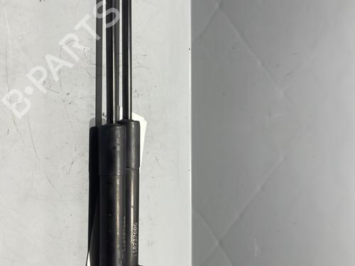 Hood lift support RENAULT KANGOO / GRAND KANGOO II (KW0/1_) 1.5 dCi 90 (KW05, KW08, KW0G, KW11) | BP29438620C139 