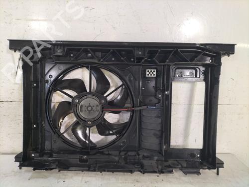 Frontblech CITROËN C4 Picasso I MPV (UD_) 1.6 HDi | BP30545376C72