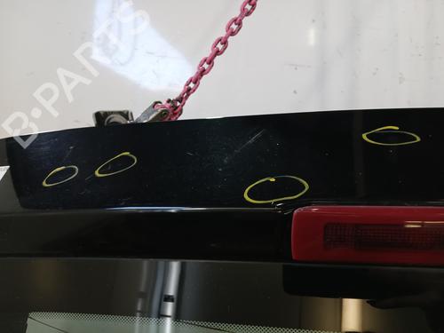Tailgate RENAULT CLIO III (BR0/1, CR0/1) 1.5 dCi | BP29640012C6 