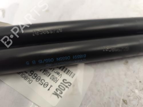 Tailgate lift support FORD KUGA II (DM2) 2.0 TDCi | BP25445442C138 - Image 4