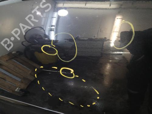 Left front door VW POLO IV (9N_, 9A_) 1.2 12V | BP31869003C2