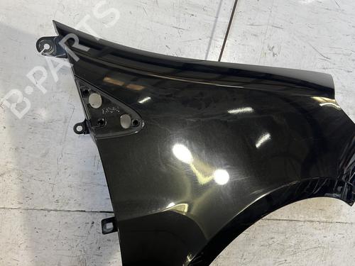 Right front fenders RENAULT CLIO III (BR0/1, CR0/1) 1.2 16V (BR02, BR0J, BR11, CR02, CR0J, CR11) | BP26895764C42 