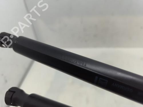 tailgate-lift-support-citroen-c3-aircross-ii-2r_-2c_-2017-28156826 main image