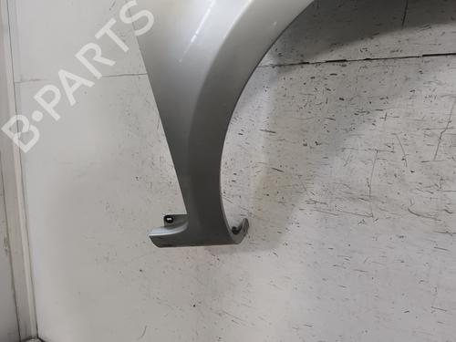 Right front fenders RENAULT CLIO III (BR0/1, CR0/1) 1.5 dCi | BP28134602C42 
