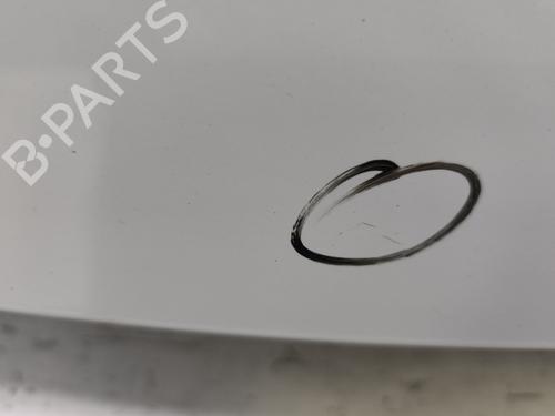 Tailgate RENAULT CLIO III (BR0/1, CR0/1) 1.5 dCi | BP29598735C6 