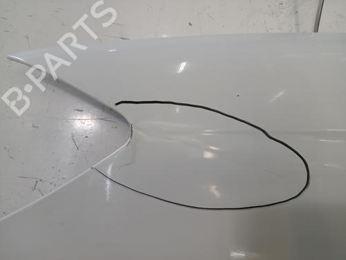 Left front fenders MERCEDES-BENZ SPRINTER 3-t Van (B906) 213 CDI (906.611, 906.613) | BP32231691C41