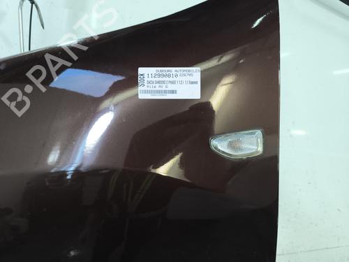 Left front fenders DACIA SANDERO II 1.2 | BP29833717C41 