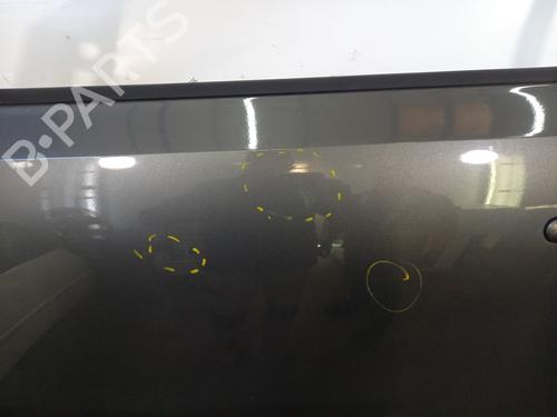 Left front door VW POLO V (6R1, 6C1) 1.6 TDI | BP29338954C2 