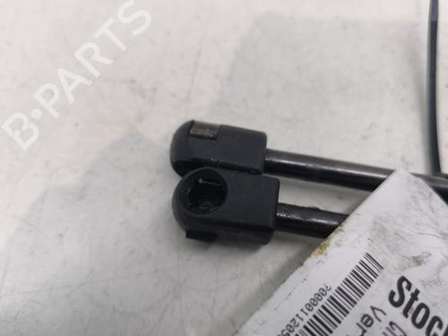 Gassdemper Bakluke CITROËN C3 I (FC_, FN_) 1.4 HDi | BP29193934C138 