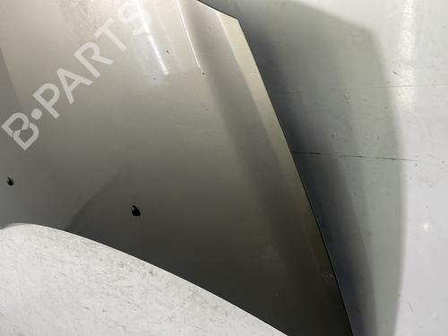 Hood RENAULT CLIO III (BR0/1, CR0/1) 1.5 dCi (BR17, CR17) | BP22846375C1 