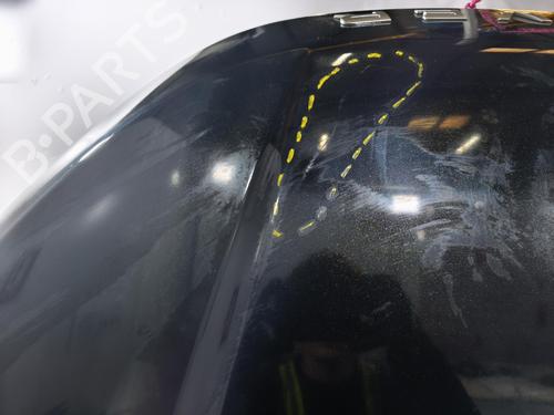 Used Hood Hood LAND ROVER RANGE ROVER EVOQUE (L538) 2.0 D 4x4 (150 hp) 40516043 40516043