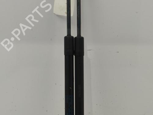 Tailgate lift support SKODA FABIA II (542) 1.6 TDI | BP22828345C138 