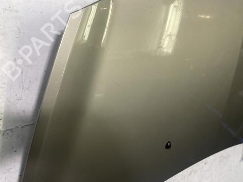 Hood RENAULT CLIO III (BR0/1, CR0/1) 1.5 dCi (BR17, CR17) | BP22846375C1 