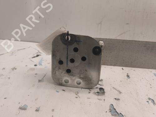 Køfangervange CITROËN C4 II (NC_) 1.6 HDi 90 | BP31873563C73