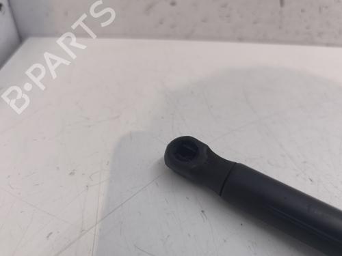 Hood lift support AUDI A3 (8P1) 2.0 TDI 16V | BP27436822C139 