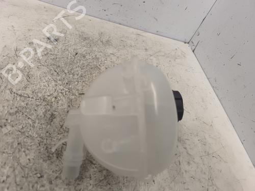 Expansion tank PEUGEOT 208 II (UB_, UP_, UW_, UJ_) e-208 | BP24196784C120 