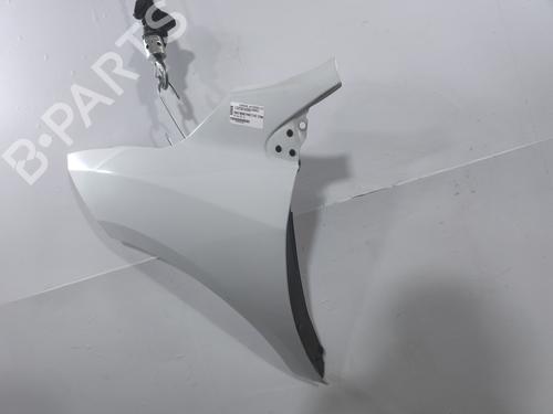 left-front-fenders-renault-megane-iii-hatchback-bz01_-b3_-2008-39109350 main image