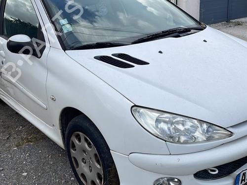 Frontblech PEUGEOT 206 Hatchback (2A/C) 1.4 HDi eco 70 | BP29598694C72 