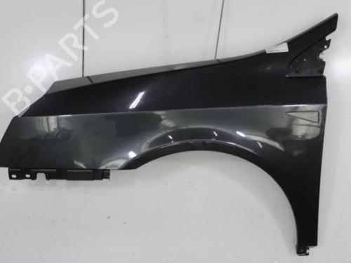 Left front fenders RENAULT VEL SATIS (BJ0_) 2.2 dCi (BJ0E, BJ0F, BJ0G, BJ0H) | BP22815078C41