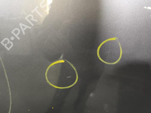 Left rear door RENAULT SCÉNIC III (JZ0/1_) 1.5 dCi | BP29869058C4