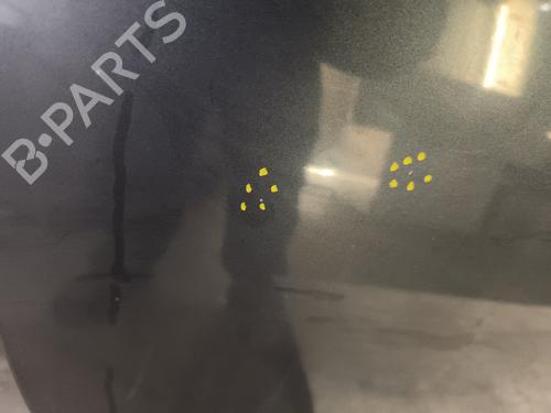 Left front door RENAULT MEGANE CC (EZ0/1_) 1.9 dCi (EZ0J, EZ1S) | BP32336065C2