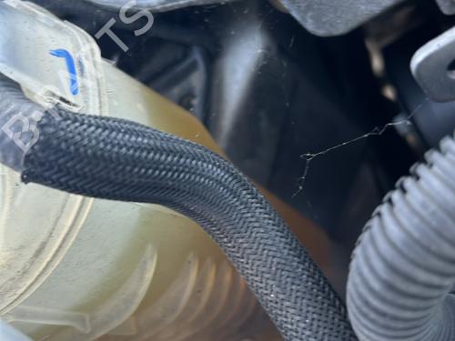 Engine RENAULT LAGUNA Coupe (DT0/1) 2.0 dCi (DT0M, DT0N, DT0S, DT19, DT1F) | BP29640062M1 - Image 2