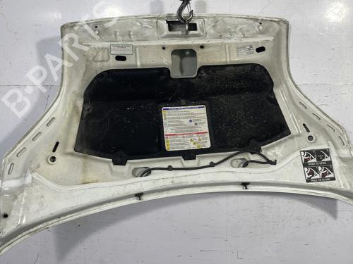 Hood CITROËN NEMO Box Body/MPV (AA_) 1.4 HDi | BP23574082C1 