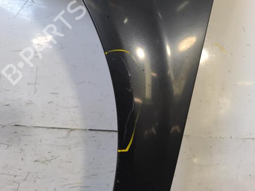 Left front fenders RENAULT SCÉNIC II (JM0/1_) 1.9 dCi (JM14) | BP27403925C41 