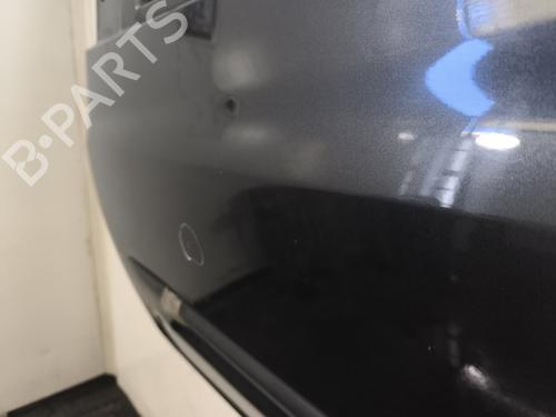 Left front door RENAULT CLIO III (BR0/1, CR0/1) 1.5 dCi (C/BR0G, C/BR1G) | BP29980524C2