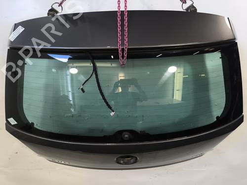 Tailgate VW POLO V (6R1, 6C1) 1.6 TDI | BP29286263C6 