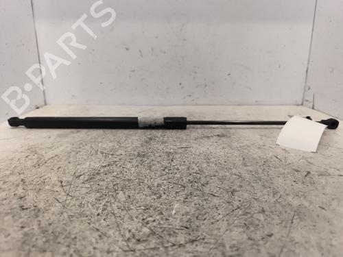 Used Hood lift support DACIA SANDERO II 1.5 dCi (90 hp) 24445502