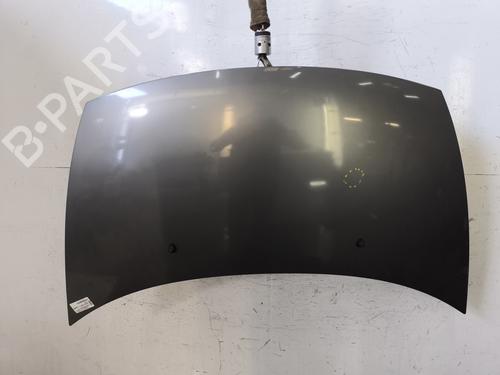 hood-citroen-c3-ii-sc_-2009-33113359 main image