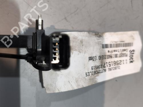 Mass air flow sensor PEUGEOT 308 II (LB_, LP_, LW_, LH_, L3_) 1.5 BlueHDi 130 | BP29438912M95 
