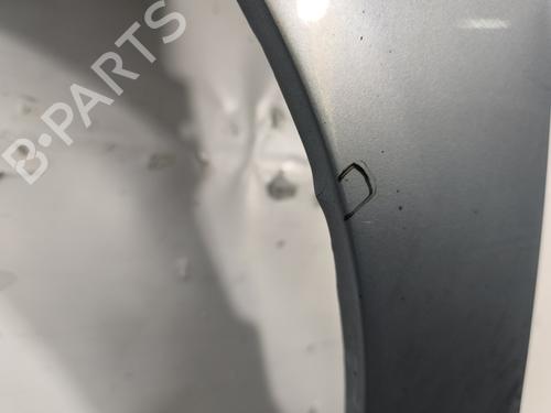 Left front fenders FORD FIESTA V (JH_, JD_) 1.4 TDCi | BP29377299C41 