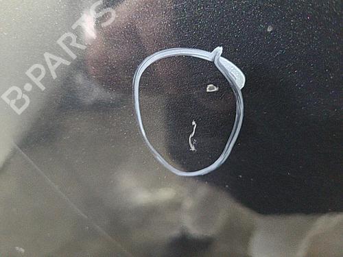 Used Left front door HYUNDAI SANTA FÉ II (CM) 2.2 CRDi 4x4 (155 hp) 22819584
