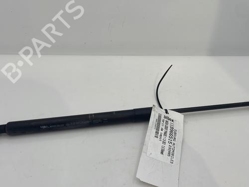 Used Hood lift support DACIA LODGY (JS_) 1.5 dCi (JSMC, JSAF) (107 hp) 32078349