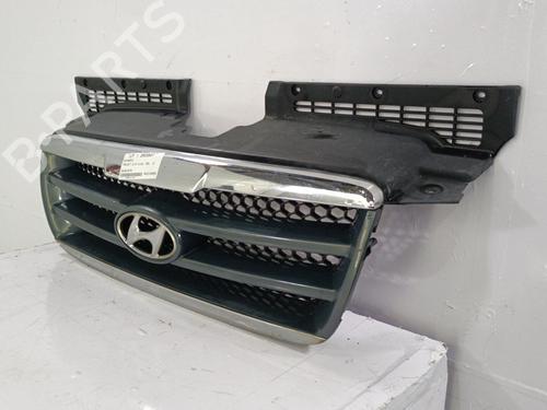 Grill Grill HYUNDAI TRAJET (FO) 2.0 CRDi (113 hp) 22817914 22817914