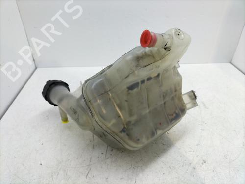Expansion tank RENAULT VEL SATIS (BJ0_) 2.2 dCi (BJ0E, BJ0F) | BP30326863C120