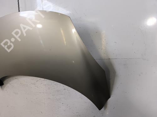 Hood RENAULT GRAND SCÉNIC III (JZ0/1_) 1.5 dCi (JZ0B, JZ07) | BP29869161C1