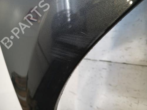 Right front fenders RENAULT CLIO III (BR0/1, CR0/1) 1.5 dCi (C/BR0G, C/BR1G) | BP29700430C42 